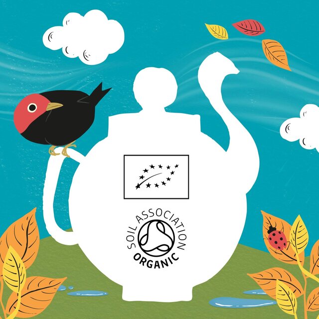 Clipper Organic Peppermint Tea Bags Infusion thumbnail 4