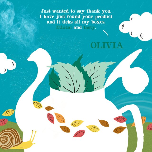 Clipper Organic Peppermint Tea Bags Infusion thumbnail 5