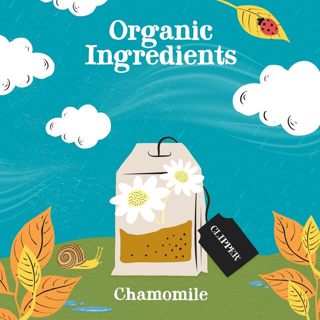 Clipper Organic Chamomile Tea Bags Infusion thumbnail 6