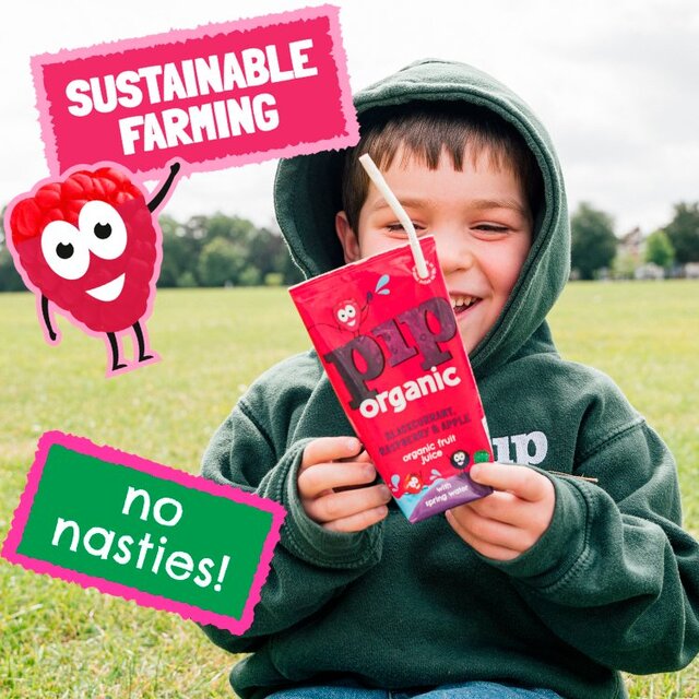 Pip Organic Blackcurrant, Raspberry & Apple Juice with Spring Water Cartons thumbnail 4