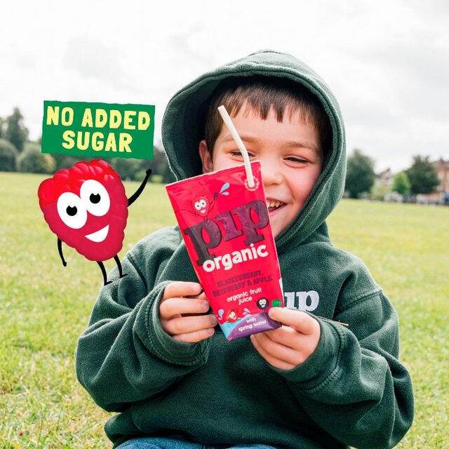 Pip Organic Blackcurrant, Raspberry & Apple Juice with Spring Water Cartons thumbnail 5