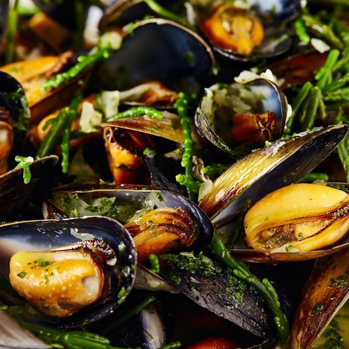 Loch Fyne Fresh Scottish Mussels