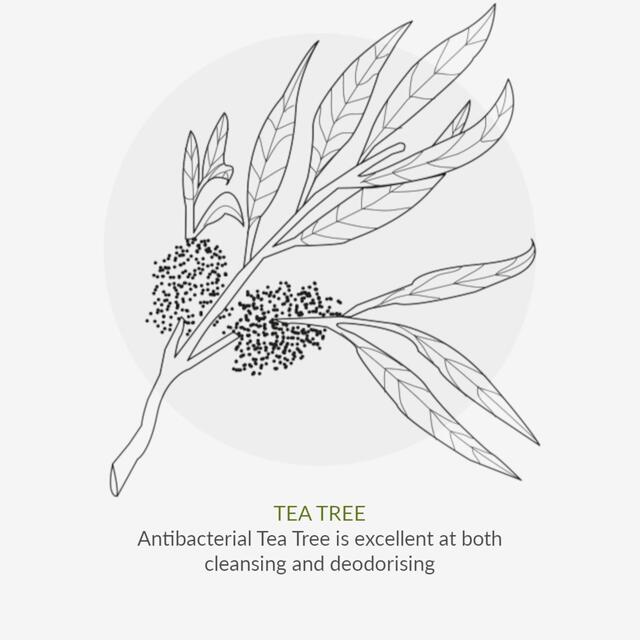 Green People Organic Men's Itch Away Shampoo, Vegan thumbnail 10