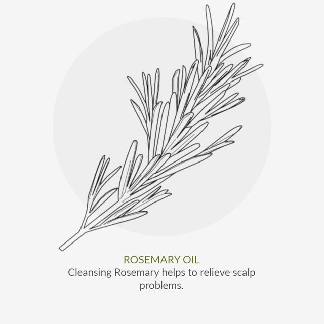 Green People Organic Men's Itch Away Shampoo, Vegan thumbnail 7