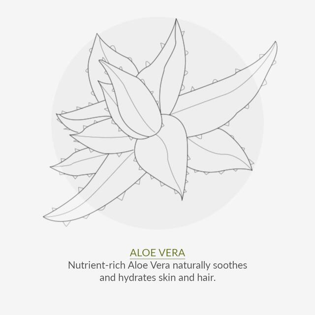 Green People Organic Men's Itch Away Shampoo, Vegan thumbnail 9