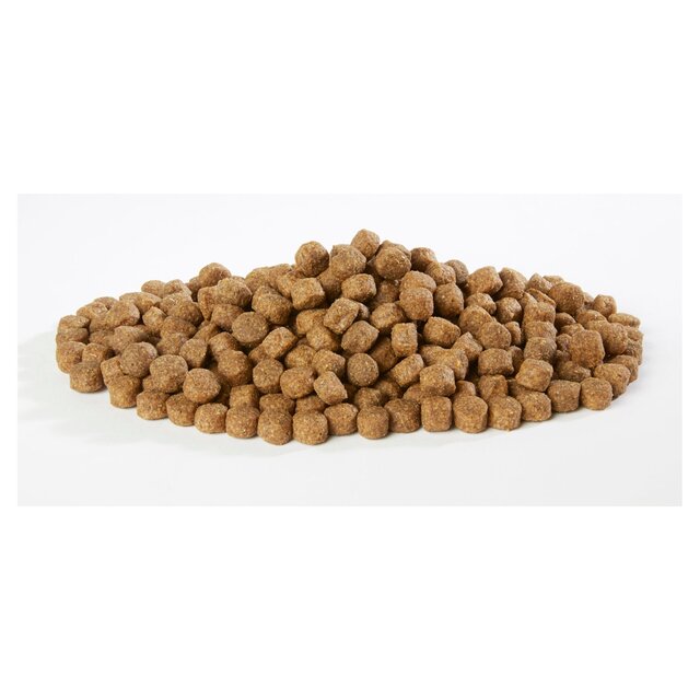 Harrington's Rich In Salmon & Potato Dry Dog Food thumbnail 2