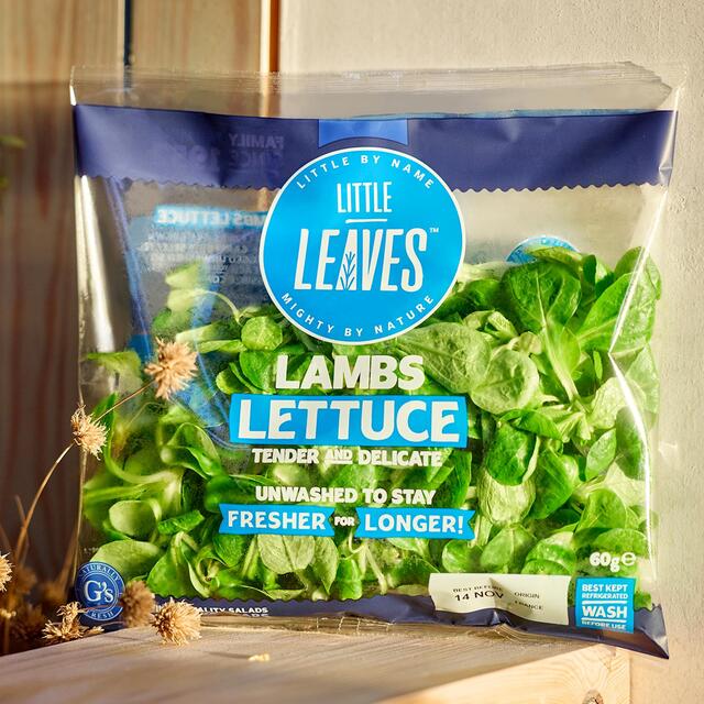 Little Leaves Lambs Lettuce thumbnail 2