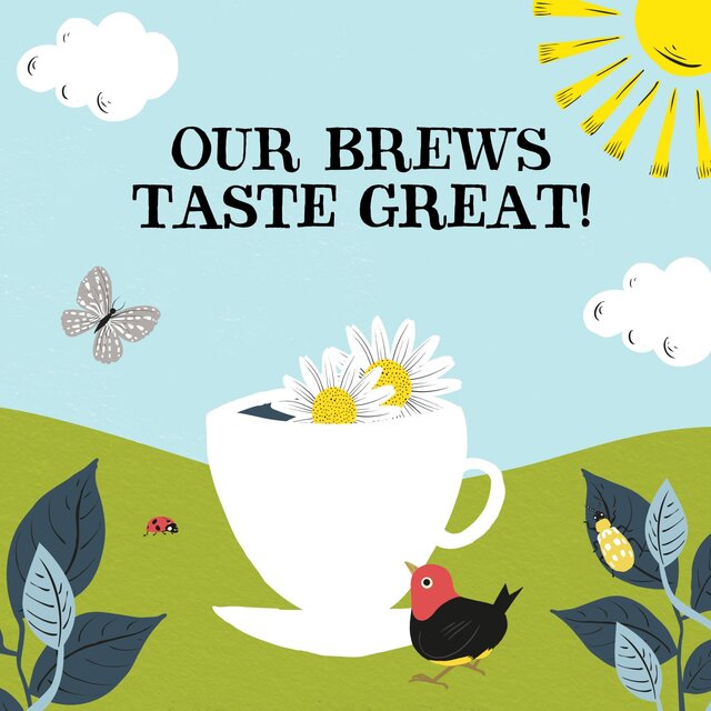 Clipper Organic Sleep Easy Infusion Tea Bags thumbnail 4