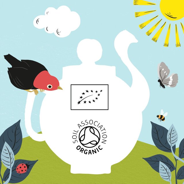 Clipper Organic Sleep Easy Infusion Tea Bags thumbnail 7