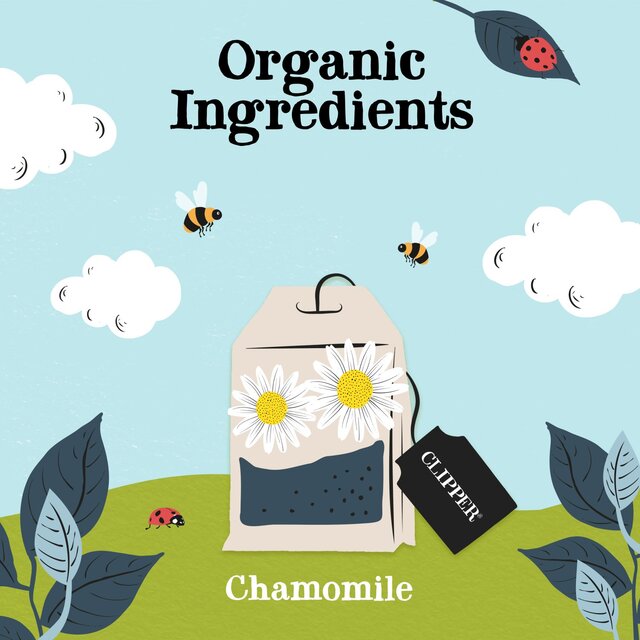 Clipper Organic Sleep Easy Infusion Tea Bags thumbnail 9