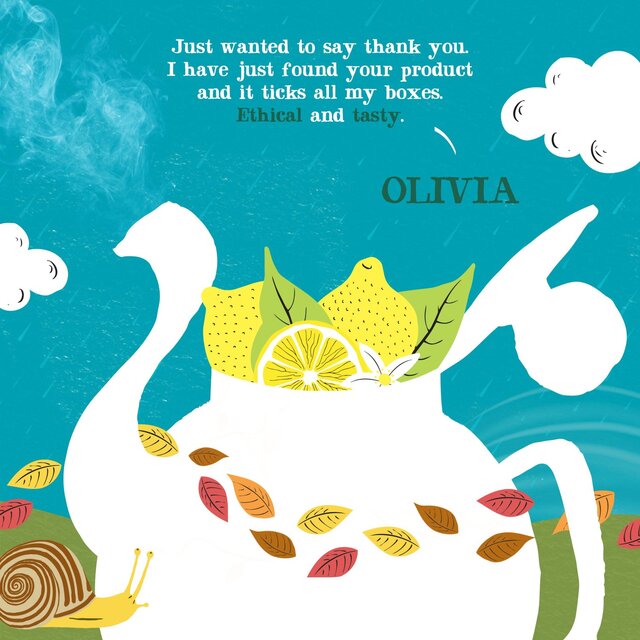 Clipper Organic Fairtrade Green Tea Bags with Lemon thumbnail 10