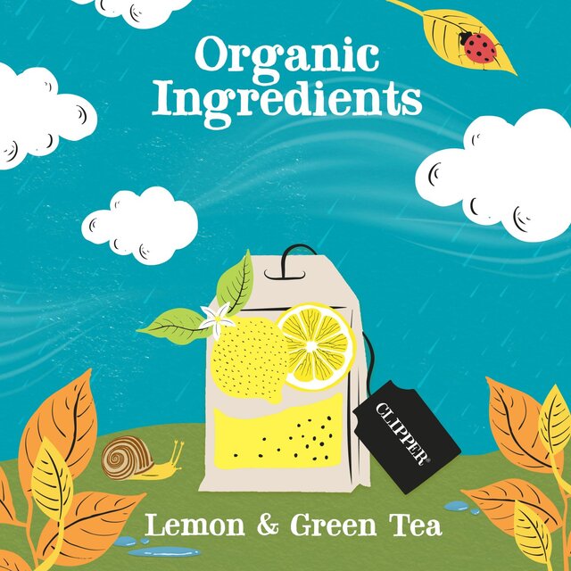 Clipper Organic Fairtrade Green Tea Bags with Lemon thumbnail 8