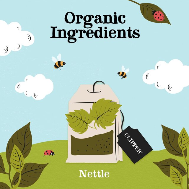 Clipper Organic Nettle Teabags thumbnail 2
