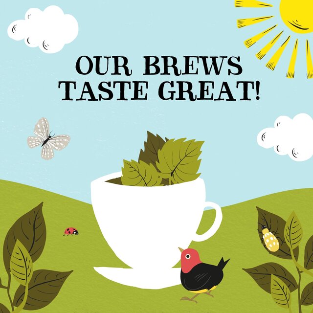 Clipper Organic Nettle Teabags thumbnail 6