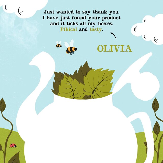 Clipper Organic Nettle Teabags thumbnail 7