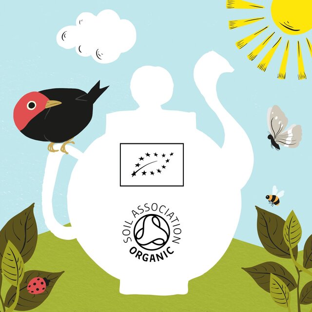 Clipper Organic Nettle Teabags thumbnail 8