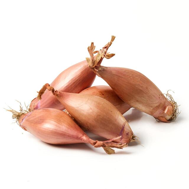 Natoora British Echalion Shallots