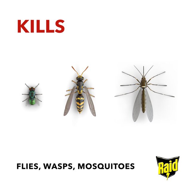Raid Fly Wasp & Mosquito Killer with Eucalyptus Aroma Oil thumbnail 3