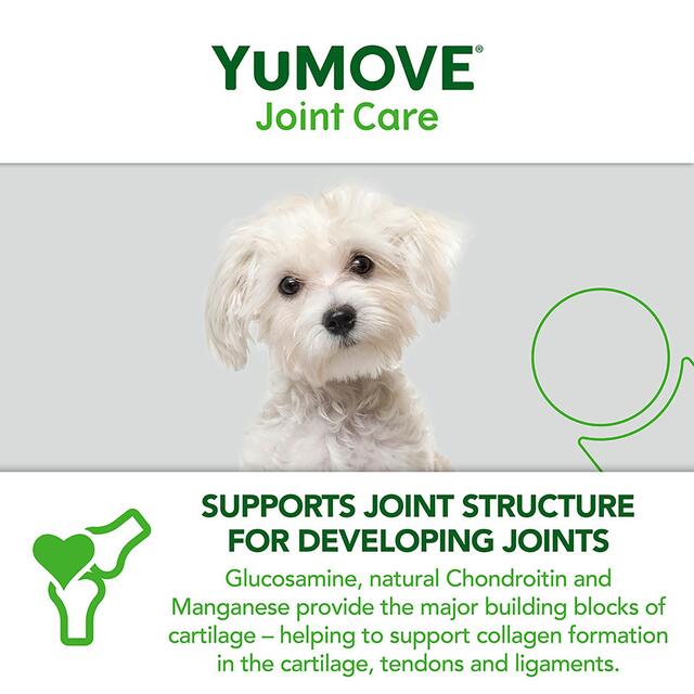 YuMOVE Dog Young & Active Joint Supplement thumbnail 5