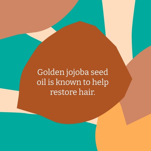 Faith in Nature Jojoba Shampoo thumbnail 7