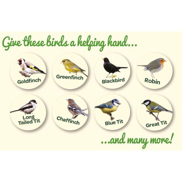 Peckish No Grow Seed Mix For Wild Birds thumbnail 3