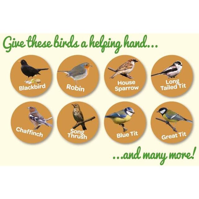 Peckish Natural Balance Seed Mix For Wild Birds thumbnail 5