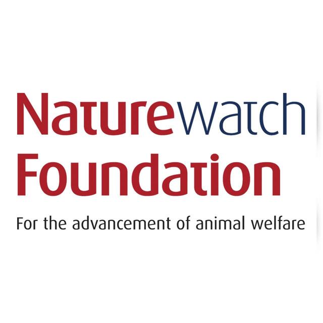 Hownd Hemp by Hownd Skin Nose and Paw Balm for Dogs thumbnail 4