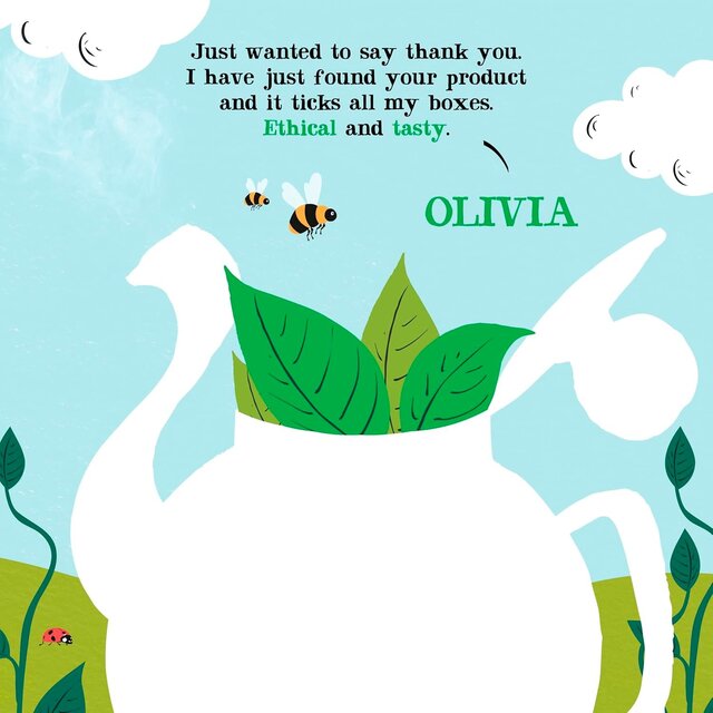 Clipper Organic Fairtrade Green Tea Bags thumbnail 3