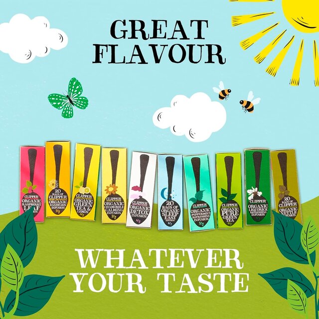 Clipper Organic Fairtrade Green Tea Bags thumbnail 5