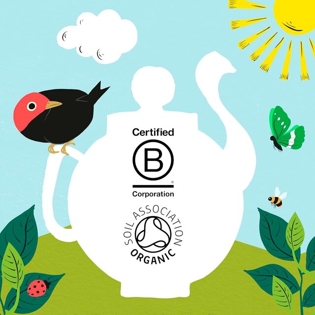 Clipper Organic Fairtrade Green Tea Bags thumbnail 9