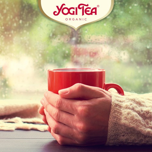 Yogi Tea Organic Turmeric Chai Tea Bags thumbnail 4