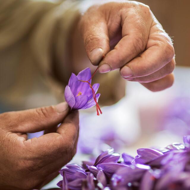 Belazu Category 1 Spanish Saffron thumbnail 2