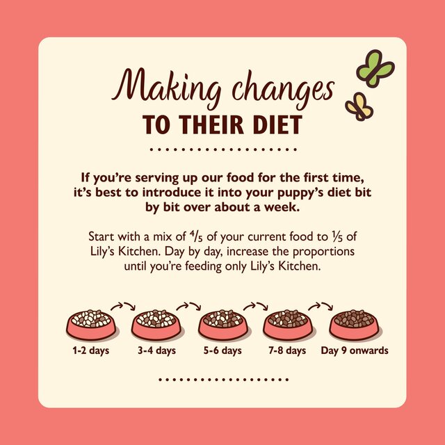 Lily's Kitchen Puppy Recipe with Chicken Wet Dog Food thumbnail 2