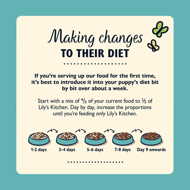 Lily's Kitchen Puppy Recipe Turkey & Duck Wet Dog Food thumbnail 4