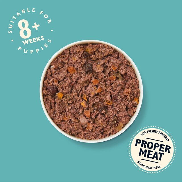 Lily's Kitchen Puppy Recipe Turkey & Duck Wet Dog Food thumbnail 6