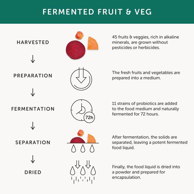 Together Health Multibiotic, Probiotic Supplement thumbnail 3