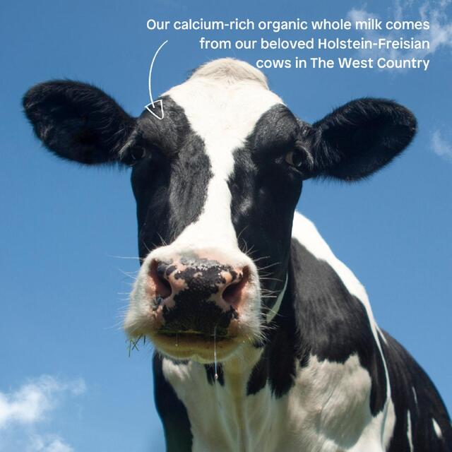 Little Freddie Organic Sweet Potato & Carrot Yoghurt Pouch, 6 mths+ thumbnail 3