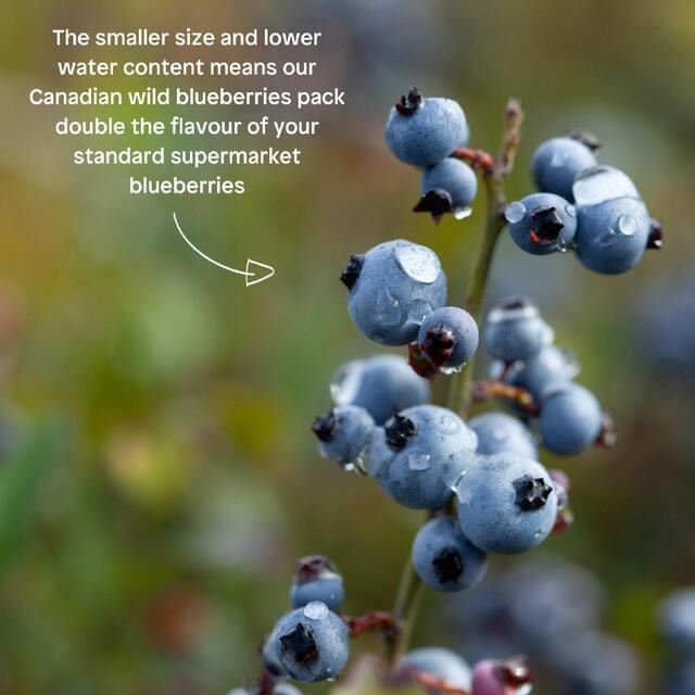 Little Freddie Strawberries, Blueberries & Oats Organic Pouch, 6 mths+ thumbnail 3