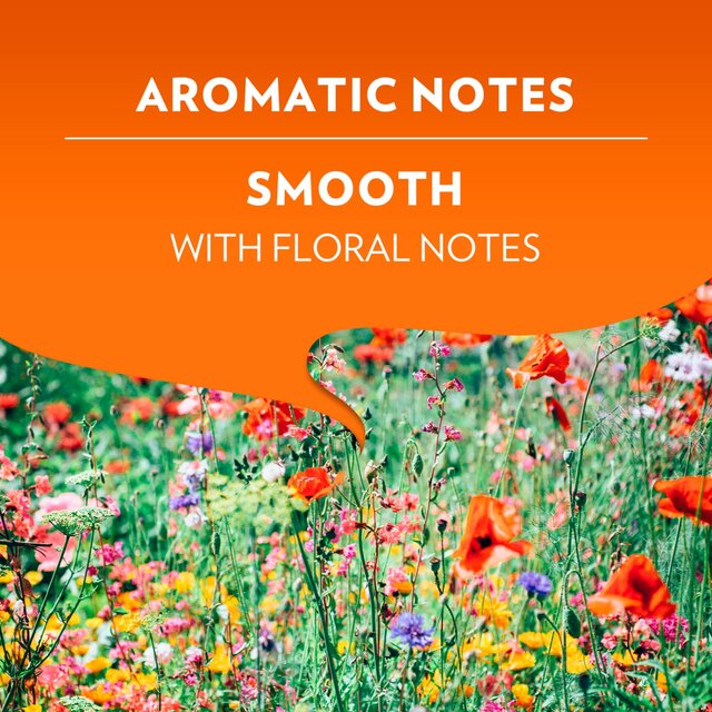 Lavazza A Modo Mio Compostable Espresso Delizioso Coffee Capsules thumbnail 8