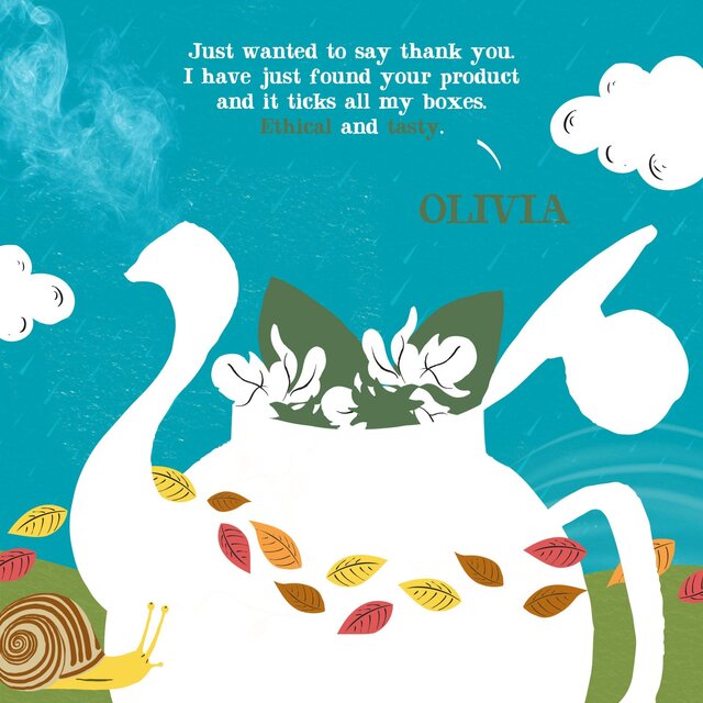 Clipper Organic Liquorice Teabags thumbnail 10