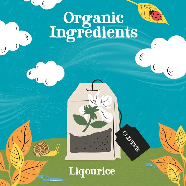 Clipper Organic Liquorice Teabags thumbnail 4