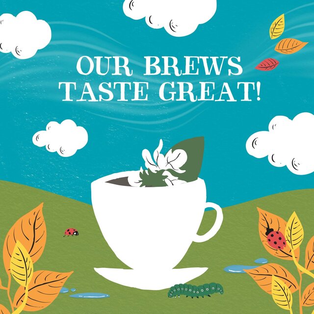 Clipper Organic Liquorice Teabags thumbnail 8