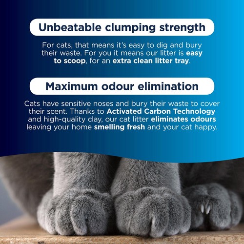 Ever Clean Multiple Cat Clumping Litter thumbnail 3