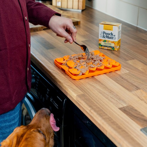 Pooch & Mutt Turkey & Chicken Wet Dog Food thumbnail 6