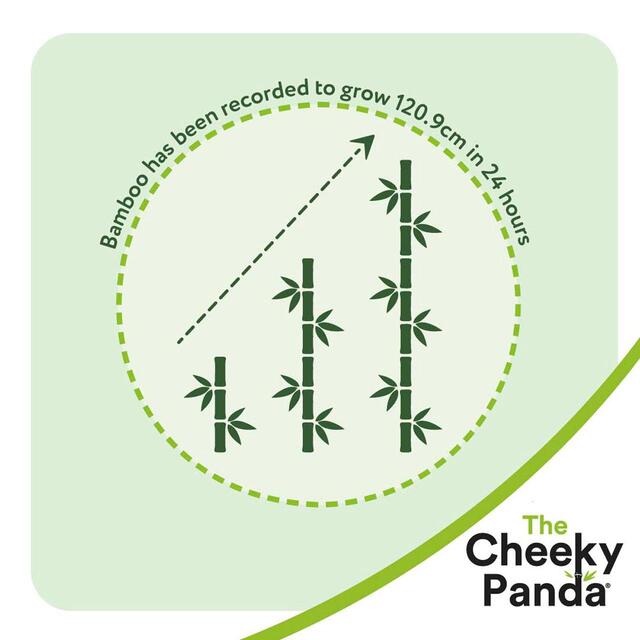 The Cheeky Panda Natural Bamboo Kitchen Rolls thumbnail 4