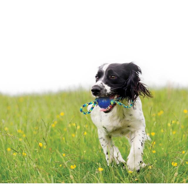 Zeus K9 Fitness Ball Double Tug thumbnail 4