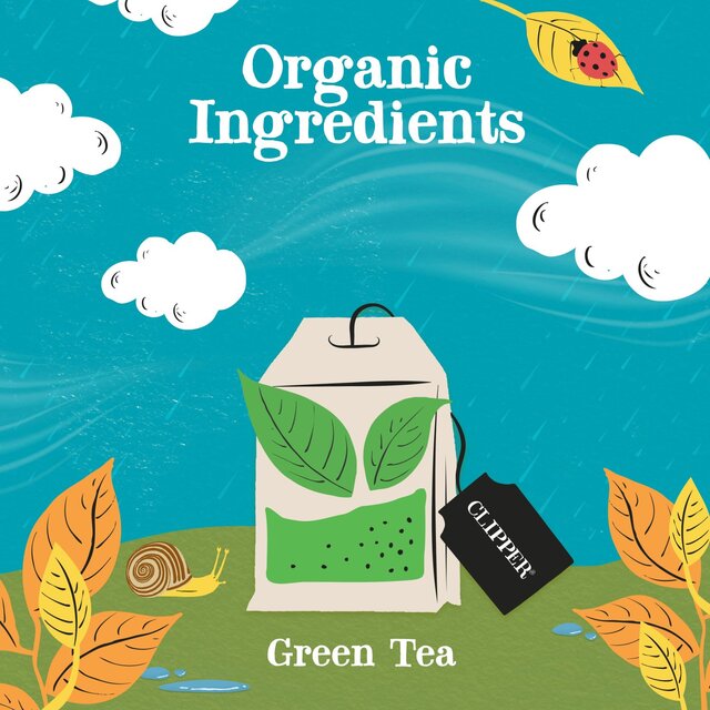 Clipper Organic Fairtrade Green Tea Bags thumbnail 4