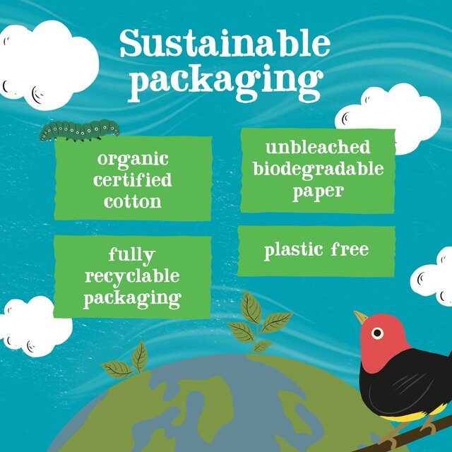 Clipper Organic Fairtrade Green Tea Bags thumbnail 6