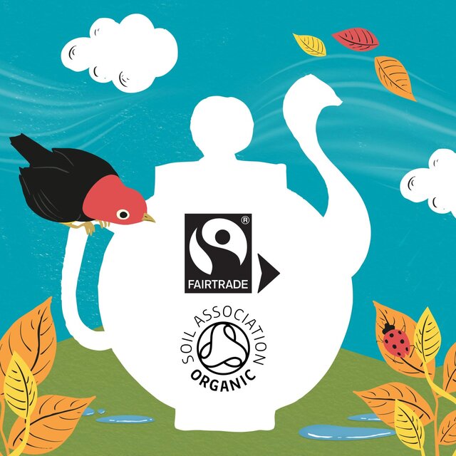 Clipper Organic Fairtrade Green Tea Bags thumbnail 7