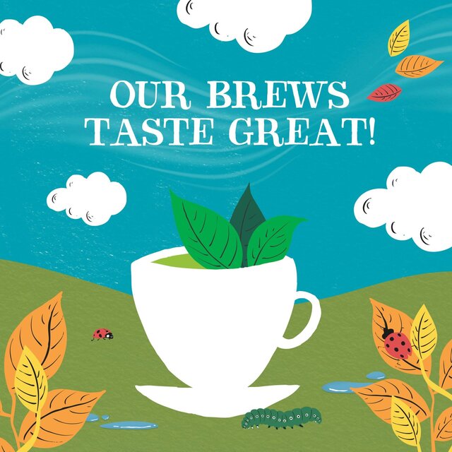 Clipper Organic Fairtrade Green Tea Bags thumbnail 8